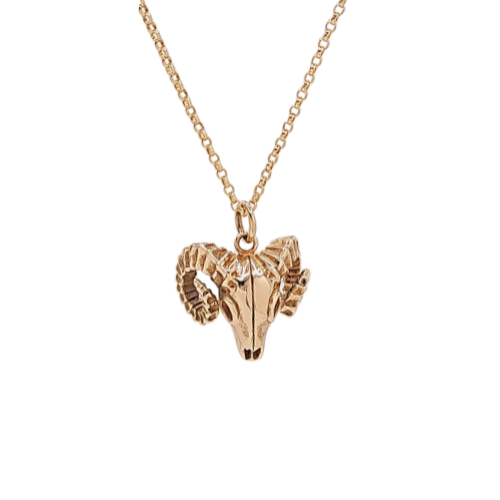 Ram Skull Necklace in Bronze, #6423-brz