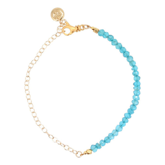 Gemstone Bracelet on Gold Filled Chain, Choice of Stone, #6596-yg